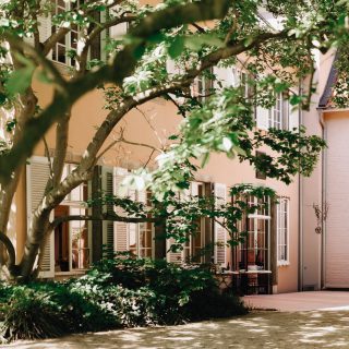 Letztes Jahr durfte ich eine hochzeit im Lido Malkasten in Düsseldorf begleitenDie warme, rosafarbene Wände Die grünen fensterlädenDas Licht , das durch die Bäume fällt -alles wirkt so natürlich und gleichzeitig so ästhetisch Es braucht hier nicht viel DekorationDie Location bringt schon alles mit Location @lido.malkastenHochzeitsplanerin @lorena.rodriguez.weddings
